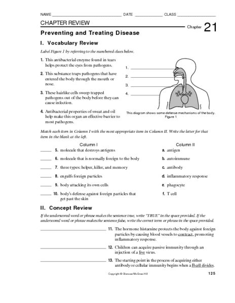 Lymphatic And Immune System Worksheet Answers Delehantygustafson