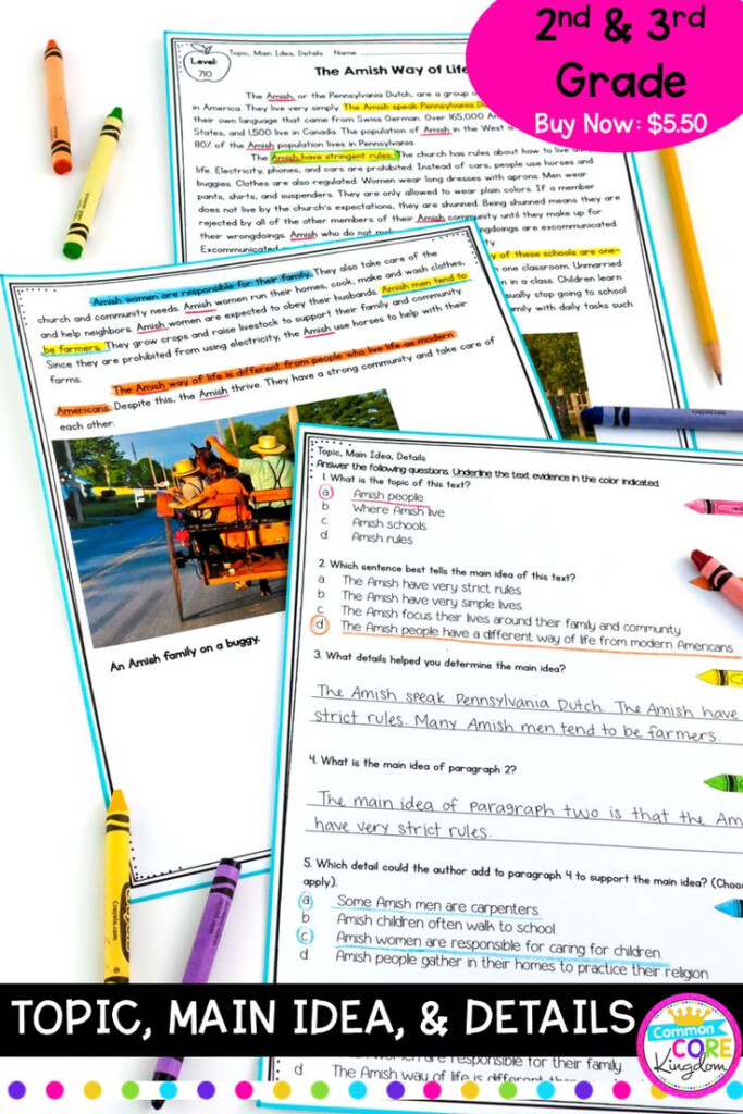 Main Idea Worksheets 3rd Grade Common Core Ideas Gealena