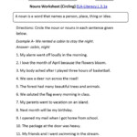 Pin By Juvy Germino On Division Nouns Worksheet Verb Worksheets Nouns