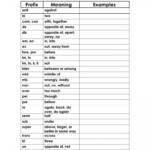 Prefix Practice Worksheets