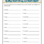 Printable Spelling Worksheet Printout