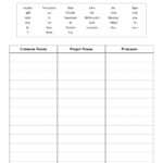 Pronouns Common Nouns Proper Nouns Sort Into Categories Worksheet