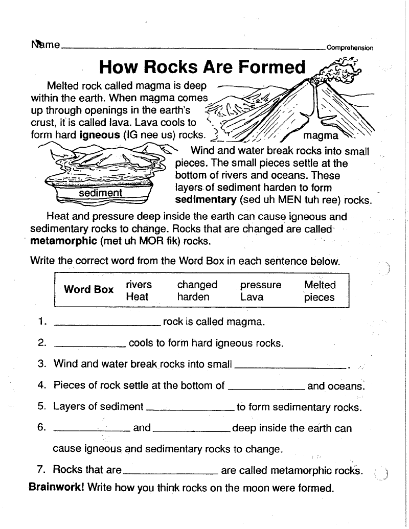 Science For 2nd Grade Worksheets