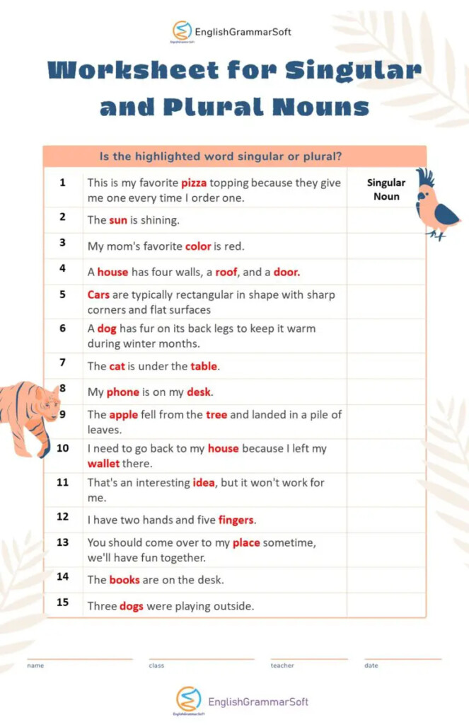 Singular And Plural Nouns 15 Rules 50 Examples Worksheet 