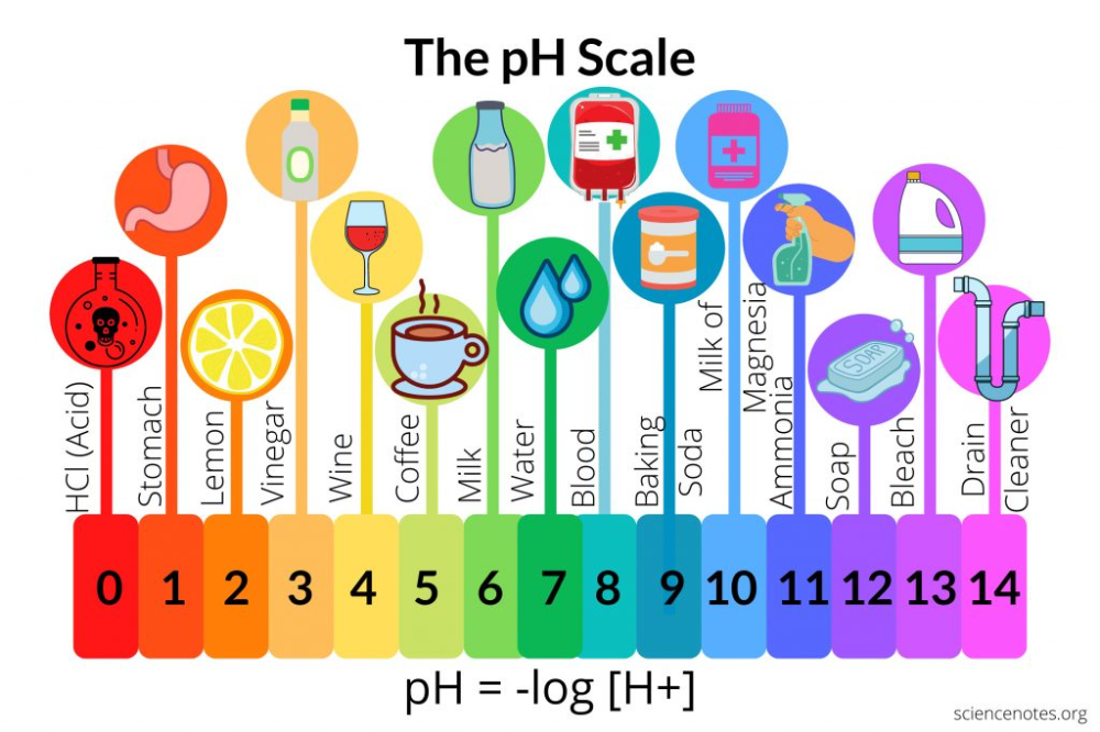 The PH Scale Of Common Chemicals Chemistry Chemistry Notes