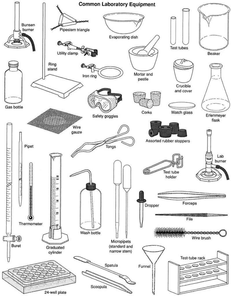 Vocabulary Common Laboratory Equipment Chemistry Lab Equipment 