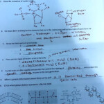 What Are The Building Blocks Of Nucleic Acids Answers Brennan has Vance